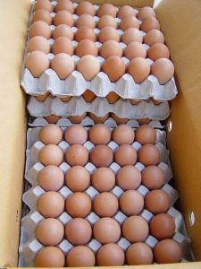 Farm Fresh Chicken Eggs for sale